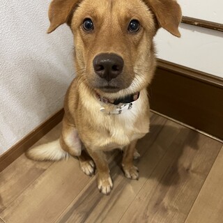 トライアル決定！元気ハツラツ☆ボギー