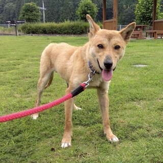 笑顔がとってもカワイイ【キキ】くん