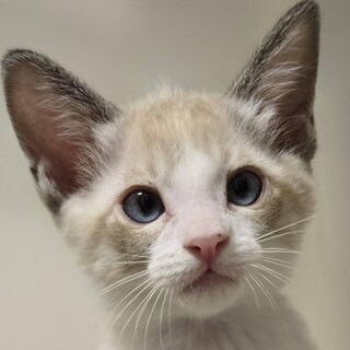 嗚呼！！みんなの動物園に出演♡ ひなた君