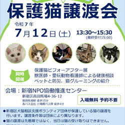 新宿区保護猫譲渡会