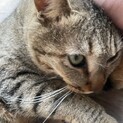 元気でかわいい男の子3才
