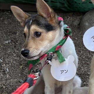 調整中のため、一旦ストップにてお願いします。