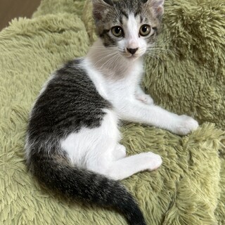 少しビビりでマイペース★もも太郎くん