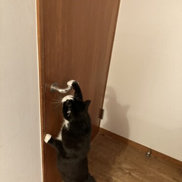 筋肉ムキムキ
