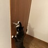 筋肉ムキムキ