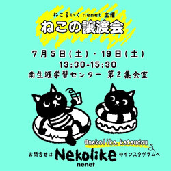 o｡◈｡o+ﾟほごねこ譲渡会ﾟ+o｡◈｡o