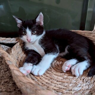 おもちゃ遊び大好き♡サンくん♡