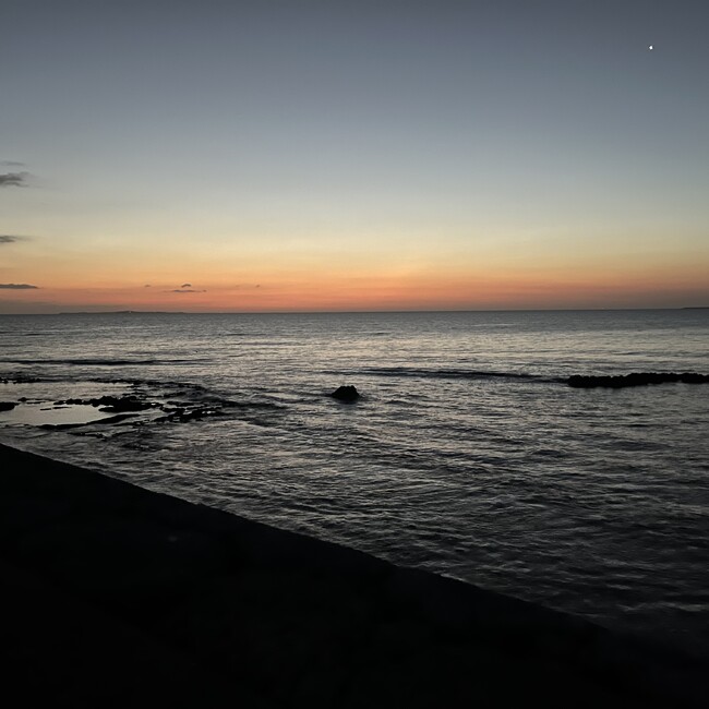 みみたんんのカバー写真