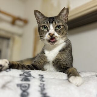 なでなで大好きなかわいいさん♪スーちゃん