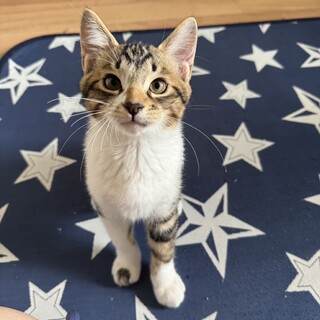 おしゃべりストーカー♡なつ君3ヶ月4兄妹