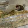 【里親様、決まりました！】 サムネイル2