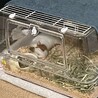 【里親様、決まりました！】 サムネイル4