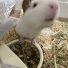 チモシーハンター さん