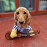 けんちゃま