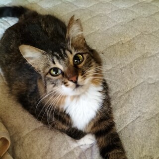 癒し系120％♡あんこ&きなこ姉妹