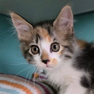 7/6ハウジングプラザ浦和参加　KANON