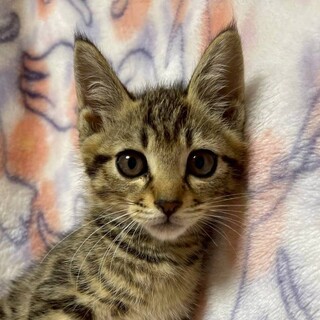 8/17カインズ浦和美園参加　 ドン君