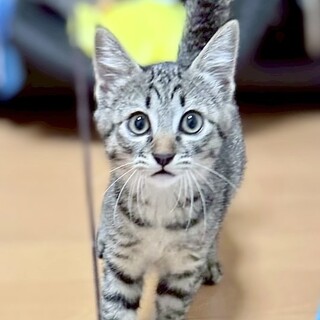 ちょっぴりビビリな コウちゃん