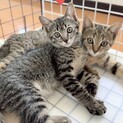 遊ぶのダイスキ マルちゃん