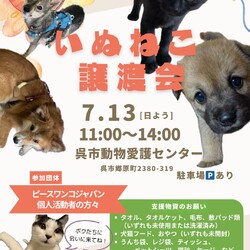 いぬねこ譲渡会