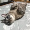 幸導 さん