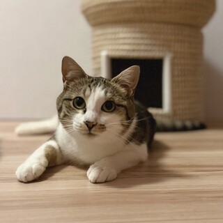 エイズキャリアでも幸せになりたい