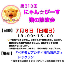 にゃん☆ぴーす猫の譲渡会【稲毛海岸/ペテモピアシティ稲毛海岸店』