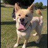 蜂ヶ峯さん