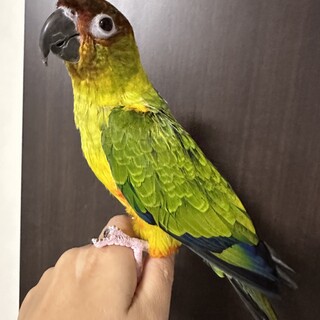 里親様決まりました！