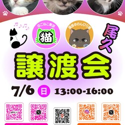 ほごねこ東京譲渡会＠尾久