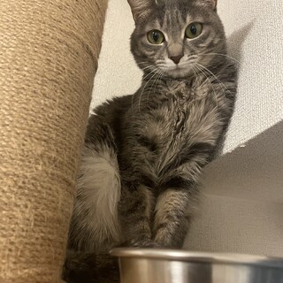 顔立ちの良い女の子♪