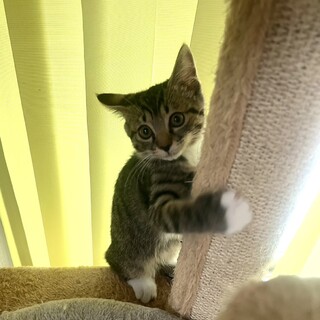 8/10幕張ෆ⃛仲良し３兄弟ෆ⃛るいくん