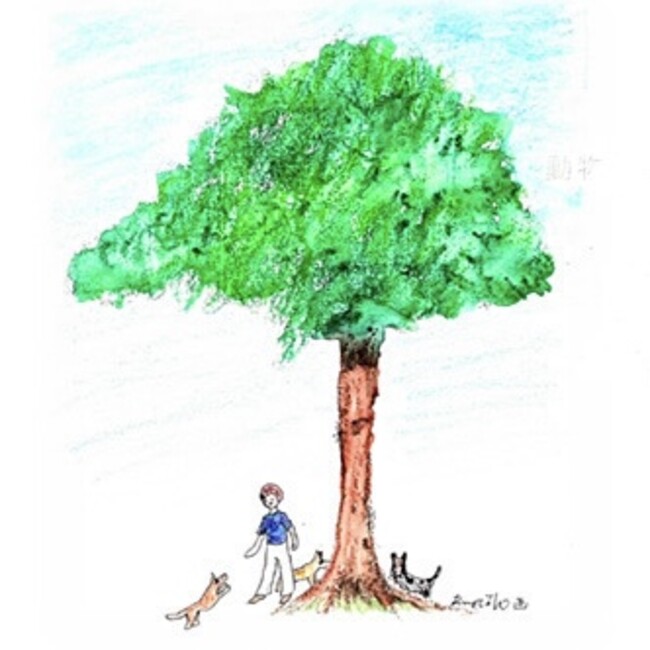 いのちの木陰会のカバー写真