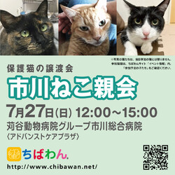 7/27(日)ちばわん市川ねこ親会