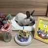  さん