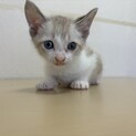 トライアル決定！優しいお顔の男の子⭐︎ ユウ君