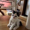 の写真