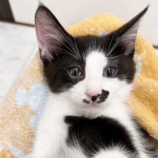 無邪気でわんぱくボーイな男の子