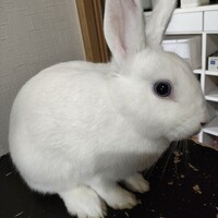 みっちゃん
