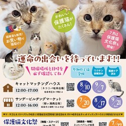 にぎわう街に、あたたかな命のご縁を。サンビルで保護猫譲渡会を開催！