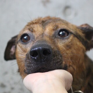 人が大好き甘えたさん⭐︎ウーロンくん