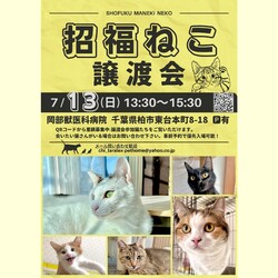 千葉県柏市　招福ねこ譲渡会