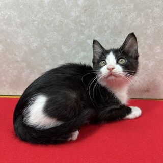 姉妹で参加！何時も一緒の仲良しこよし❤小春