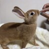  さん