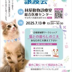 保護猫譲渡会 in 林屋動物診療室総合医療センター