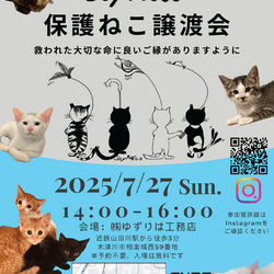 【SoyNeco会主催】保護ねこ譲渡会