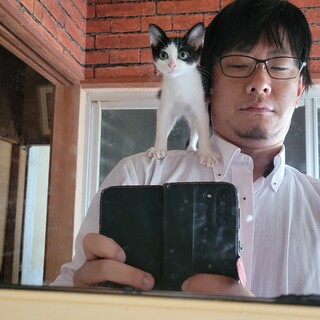 子猫里親探してます!