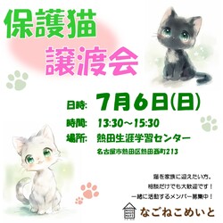 名古屋　保護猫譲渡会