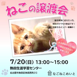 名古屋　保護猫譲渡会