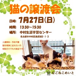 名古屋　保護猫譲渡会